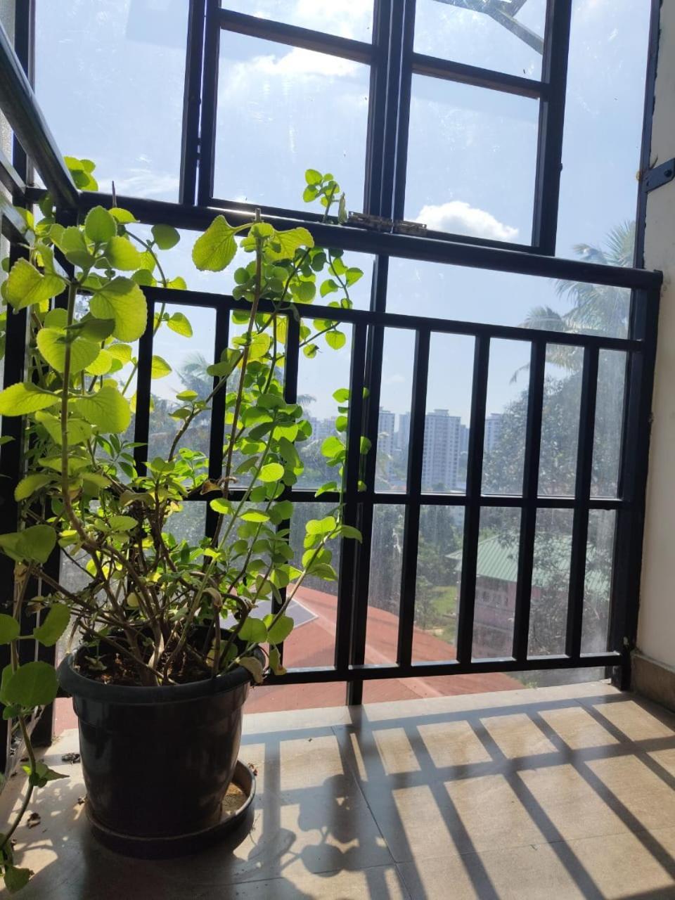 Masterkey Deluxe Rooms Kochi Bagian luar foto